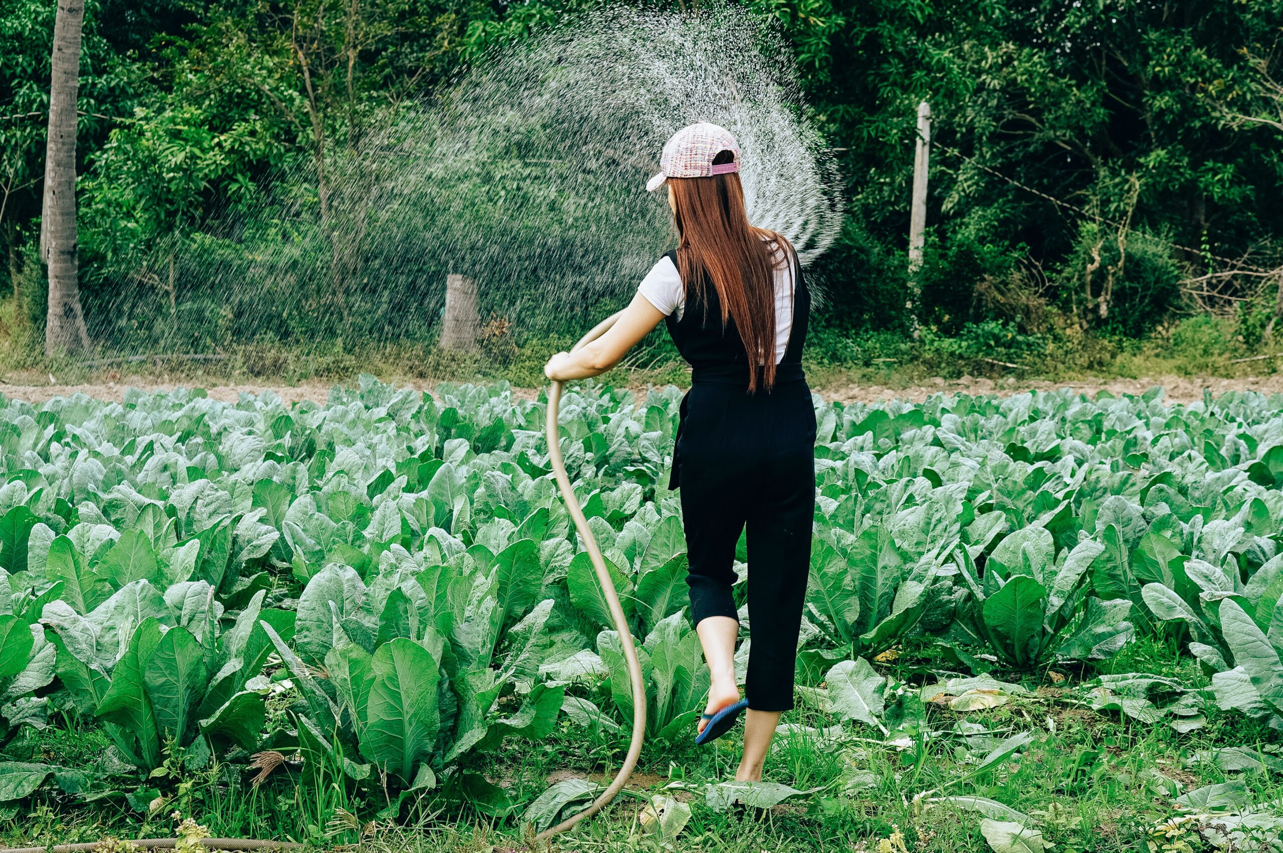 Enhancing Your Green Thumb